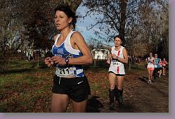 Begles 15.12.13 01 780 * 679 x 453 * (163KB)